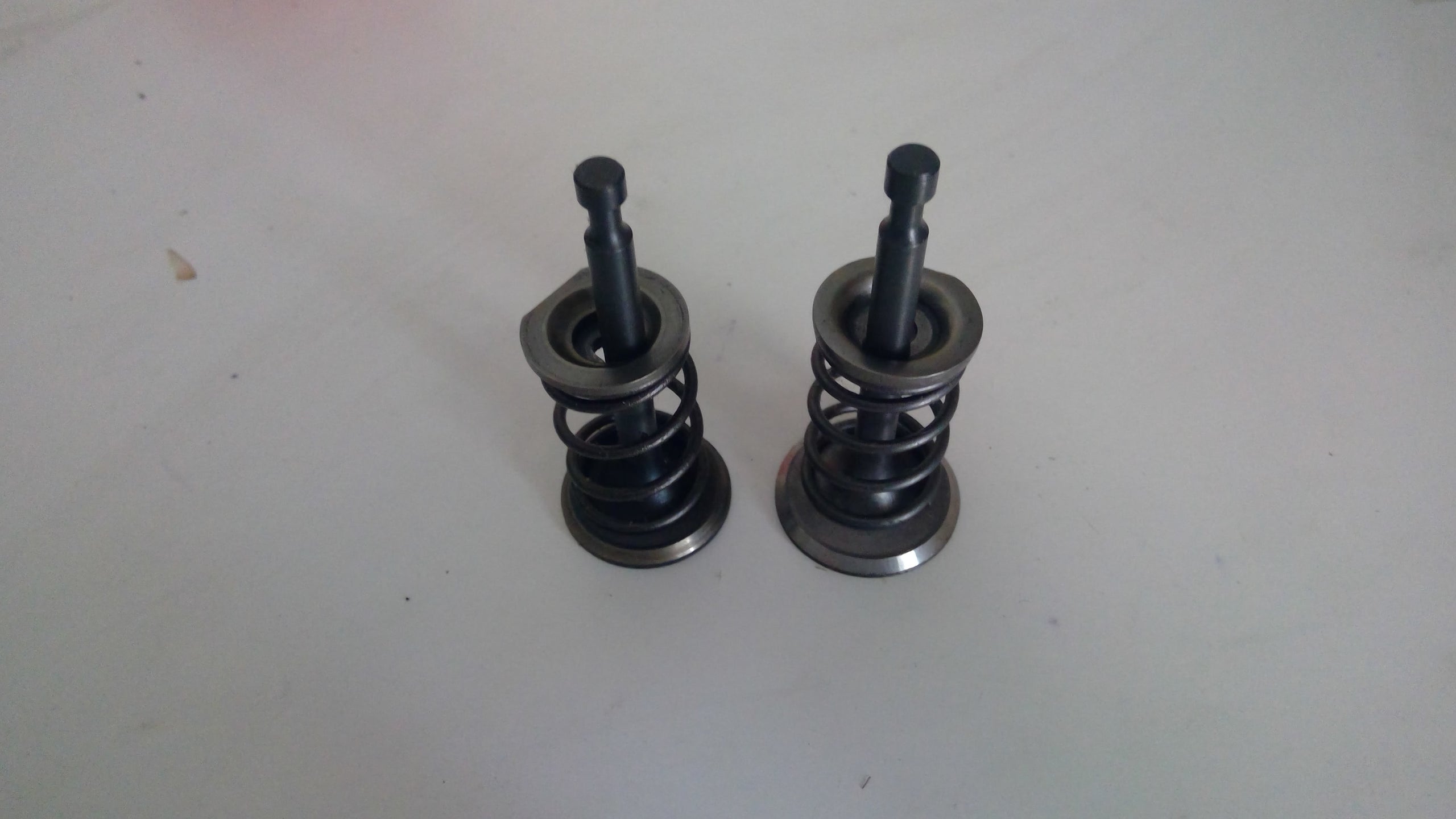 Valves with springs and retainer/keepers stock GX200 clone | LEWIS ...